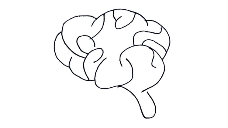 Between Language and Reality