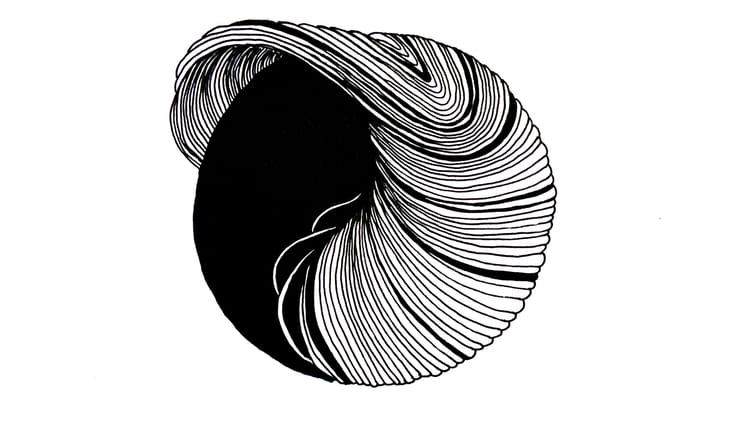 Creativity is Overrated