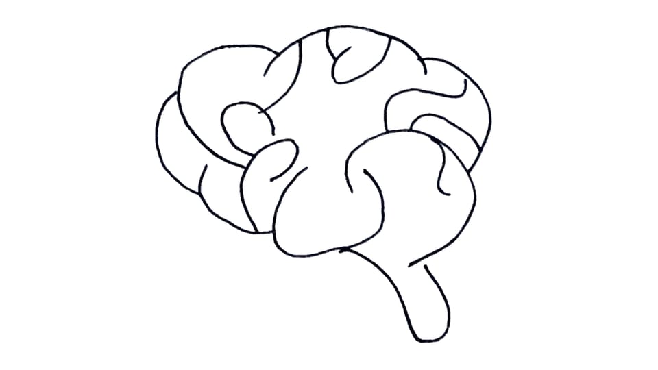 Between Language and Reality