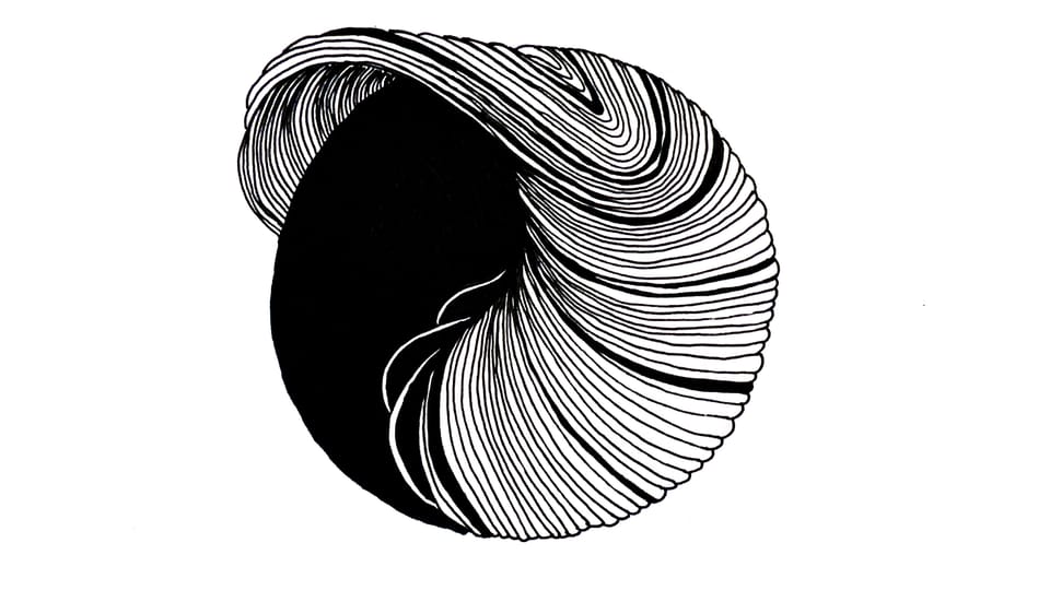 Creativity is Overrated